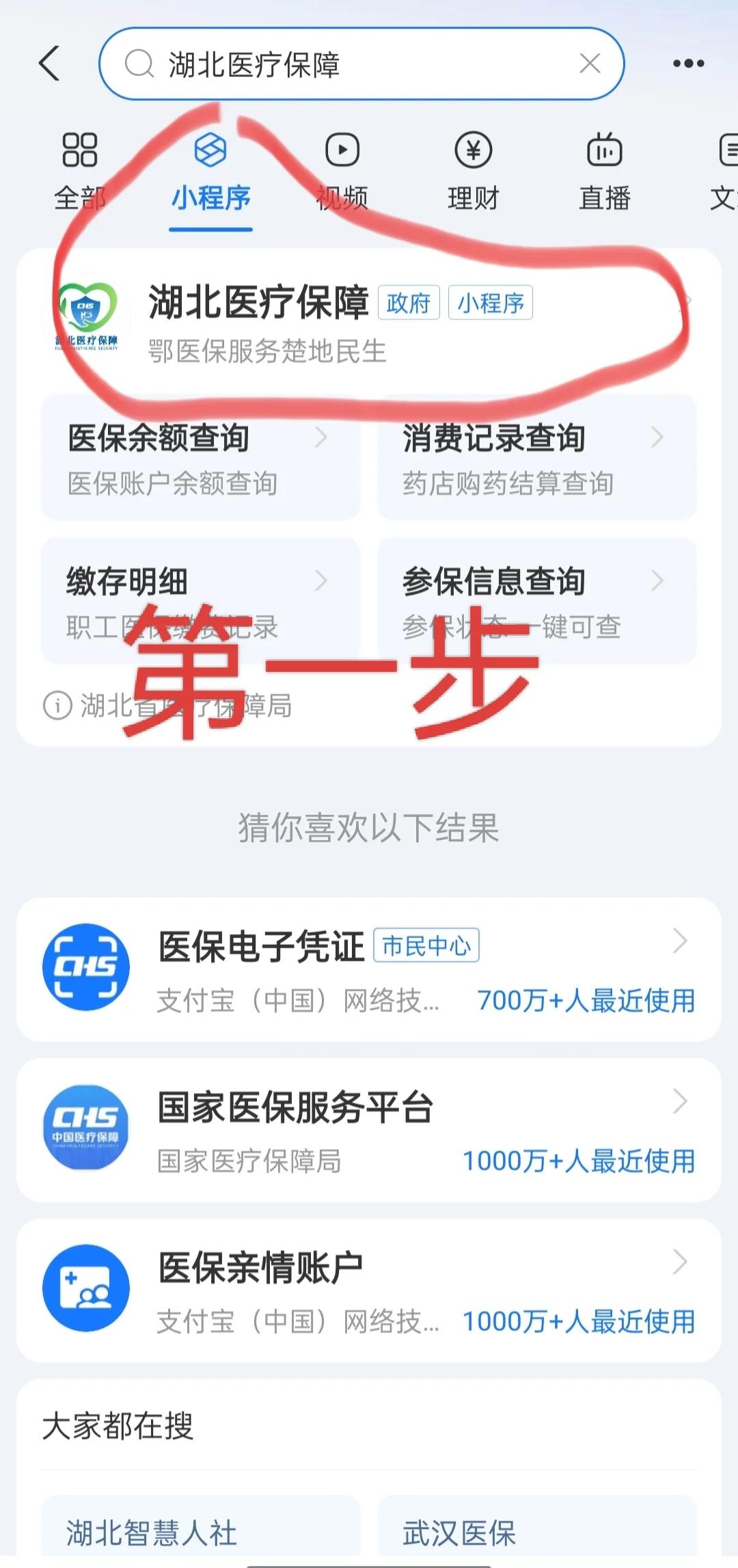 鄂州医保网上怎么缴费(孩子居民医保网上怎么缴费)