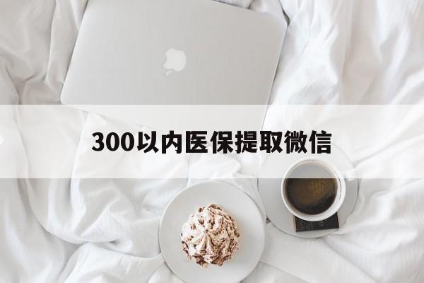 鄂州300以内医保提取微信(小额医保300以内提取)